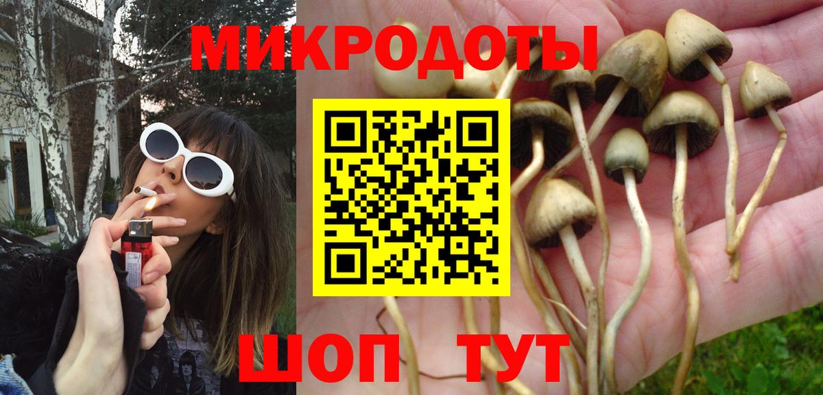 Галлюциногенные грибы прущие грибы  где купить наркоту  Камышлов  Вход с VPN 